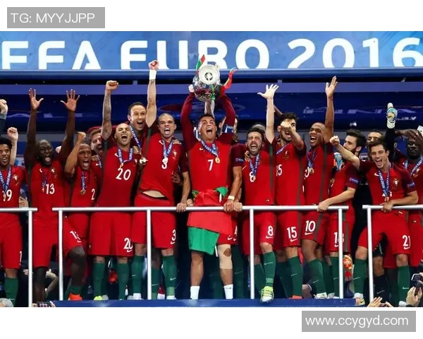 从草根到球场传奇：探寻足球明星背后的奋斗与荣耀